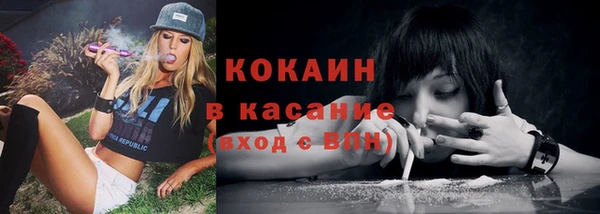 хмурый Лагань