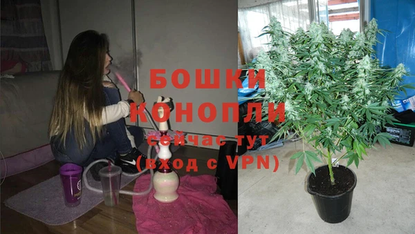 хмурый Лагань