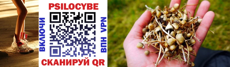 Псилоцибиновые грибы Psilocybe  закладки  Новая Ляля 